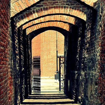 M.f. 3* エルブロンク